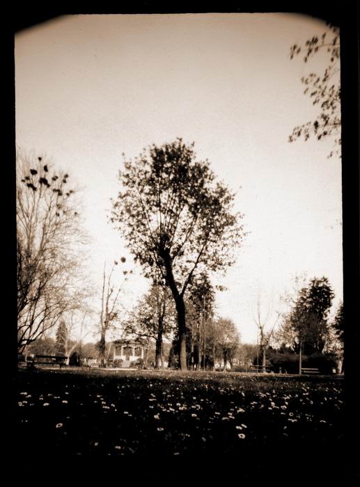 pinhole photograph
